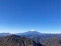 早春の「鍋割山」絶景ハイキング！  見ごろ「ロウバイ」＆山頂から「富士山・相模湾」展望！  ピストンなら下山時の “おかわり花見” もOK「現地レポ」の画像006