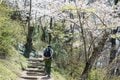 【こんな贅沢な山は他にない！】お花見ハイキングの名所「光城山」のお出かけ前に押さえるべきポイント解説の画像001