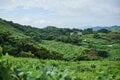 全国的にも珍しい！？  まるで海外のような風景「鍾乳洞併設キャンプ場」に行ってみた【絶景キャンプ場ガイド-言葉を失うほどの風景に会いに行こう- vol.21】の画像006
