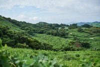 全国的にも珍しい！？  まるで海外のような風景「鍾乳洞併設キャンプ場」に行ってみた【絶景キャンプ場ガイド-言葉を失うほどの風景に会いに行こう- vol.21】
