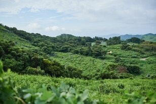 全国的にも珍しい！？  まるで海外のような風景「鍾乳洞併設キャンプ場」に行ってみた【絶景キャンプ場ガイド-言葉を失うほどの風景に会いに行こう- vol.21】