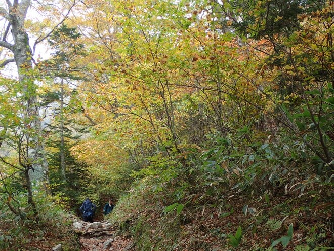 【晩秋登山】北アルプスの絶景をひとり占め！ 登山者の少ない “穴場” シーズンを狙って「涸沢」＆「奥穂高岳」への画像008