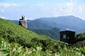 【世界自然遺産・屋久島】九州最高峰の「宮之浦岳」へ！  日本最南端の高層湿原「花之江河」を抜け、洋上のアルプスに臨むの画像012