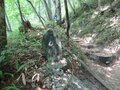 南アルプスの山の上で常夏気分！？  真っ白な砂浜が広がる「日向山」はまるで“天空のビーチ”【山梨県北杜市】の画像004