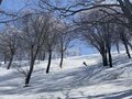自前のギアを掛け合わせれば、遊び方は無限大！  e-bikeでアプローチする「野沢温泉バックカントリー」の画像006