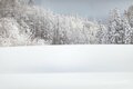 【スキー好きの気象予報士に聞いてみた】「ラニーニャって何？」「この冬は大雪ってホント？」気になる年末年始の天気、雪はどうなる？【山の天気と気象 vol.7】の画像001