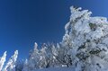 抜群の晴天率！  雲海に浮かぶ菅平高原・根子岳の「神秘の樹氷」スノーモンスターが順調に成長中【 2022年冬・長野】の画像003