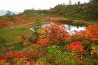 【群馬県・天狗山展望リフト】日本三名泉「草津温泉」は ”撮影スポット” が目白押し！  空中遊泳アクティビィティ「バンジップテング」で紅葉の山へダイブ！