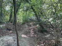 室町時代の謂れが残る大阪近郊日帰りハイキングルート「星田古道」裏山新緑トレイルの魅力【里山アドベンチャー！ソトアソ日和 vol.10】