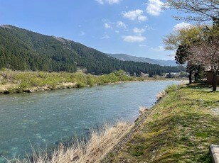 「山の湧き水」と「天然のプラネタリウム」！  大自然を体感できる「穴場スポット」！  岐阜県「小笠原苑キャンプ場」と周辺のおすすめ「温泉＆道の駅」