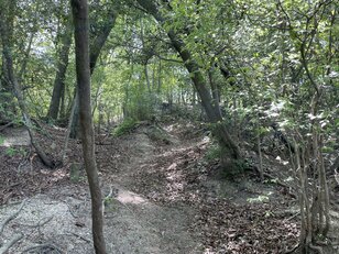 室町時代の謂れが残る大阪近郊日帰りハイキングルート「星田古道」裏山新緑トレイルの魅力【里山アドベンチャー！ソトアソ日和 vol.10】