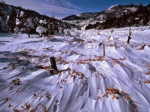 雪山の絶景を満喫！ ロープウェイ利用で通える「北八ヶ岳・坪庭」でのトレーニング！ 「大雪渓」感動ライター「登山レポ」