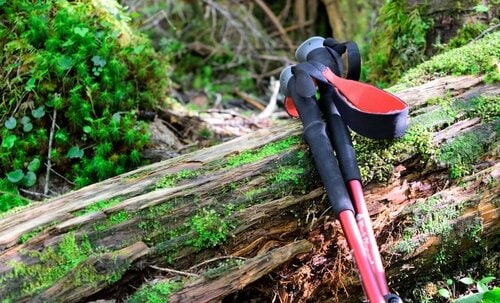 トレッキングポール