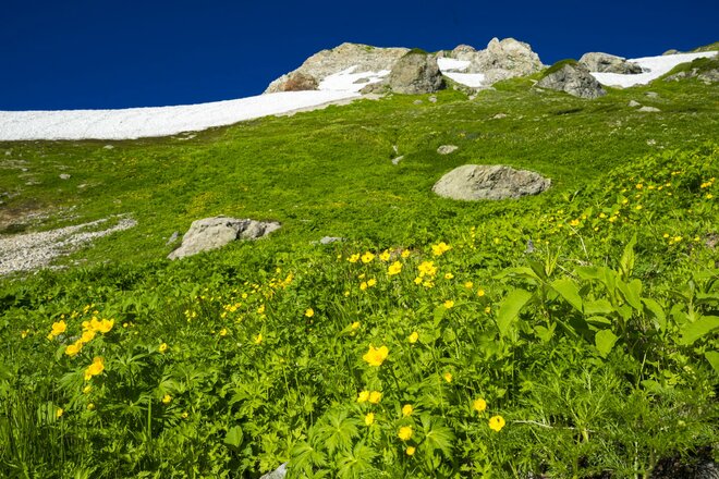 北アルプス北部に夏山シーズンの到来を告げる「第59回貞逸祭・白馬連峰開山祭」 長野県白馬村・2025年の画像004