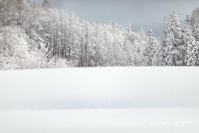 【スキー好きの気象予報士に聞いてみた】「ラニーニャって何？」「この冬は大雪ってホント？」気になる年末年始の天気、雪はどうなる？【山の天気と気象 vol.7】の画像001