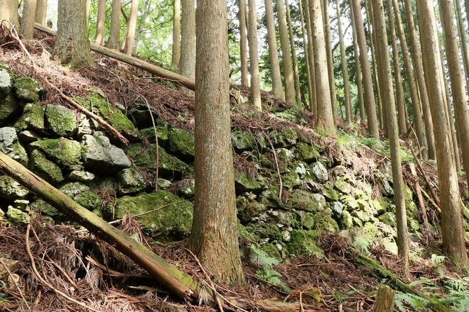 【NHK大河『豊臣兄弟！』ゆかりの城】そそり立つ “異質” なほどの高石垣が目前に迫る！「丹波国・周山城〈後編〉」（京都府京都市）【戦国の山城を攻める vol.10】の画像005