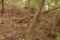 出丸の大切岸と圧巻の畝状竪堀群！  約4時間にわたる実地踏査でみた防衛遺構とは　石見国・松山城〈後編〉（島根県江津市）【戦国の山城を攻める vol.04】の画像010