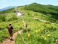 【夏山登山】夏空の下、風に揺られる高山植物の女王「コマクサ」に会いに行く！  2024年の画像001