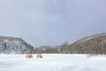 北海道2大スノーパラダイス「ルスツリゾート」「星野リゾート  トマム」、札幌の夜景を眼下に滑る「札幌藻岩山スキー場」【この冬行くべき、体験すべき！ スノーリゾート特集 vol.3】の画像006