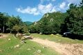 日帰りで！【奇岩・巨岩を見に行く山歩き vol.3】金峰山（長野県・山梨県）・ 御在所岳（三重県）の画像005