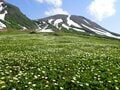 【花と温泉を楽しむ登山】日本一のチングルマ大群生地！ 「大雪山の裾合平」 2023年・北海道の画像003