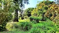 ファンタジーの庭園で幻想的なハイキング体験【ブーツの国の街角で vol.32／イタリア・ラツィオ州】の画像016
