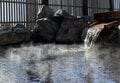 「高尾山帰りにいかが？」黒湯の美肌温泉とまろやかな水風呂＆夜景も楽しめる「ロテン・ガーデン」【山帰り、今日はどこでととのう？ vol.6】の画像001