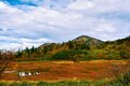 カラフルな「紅葉登山」旅！「 写活ハイク」で火打山の魅力を満喫【2021年・秋】山歩きインスタグラマーhykemika-yの画像003