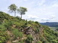 まるで竹田城！？　穴場の絶景山城「岩尾城」 野趣あふれる「天空の石垣＆曲輪」 兵庫県丹波市・蛇山「山頂レポ」