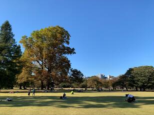 秋はバラが見頃！ 開放感あふれる東京「新宿御苑」に入園料500円を払ってでも行くべき理由とは？