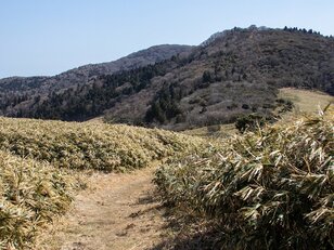 絶景「富士山」の展望と「稜線パノラマ」が広がる春の高原ハイキング！  伊豆・仁科峠から後藤山と猫越峠「山行レポ」