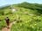 【夏山登山】夏空の下、風に揺られる高山植物の女王「コマクサ」に会いに行く！  2024年の画像001