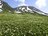 【花と温泉を楽しむ登山】日本一のチングルマ大群生地！ 「大雪山の裾合平」 2023年・北海道の画像003