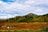 カラフルな「紅葉登山」旅！「 写活ハイク」で火打山の魅力を満喫【2021年・秋】山歩きインスタグラマーhykemika-yの画像003