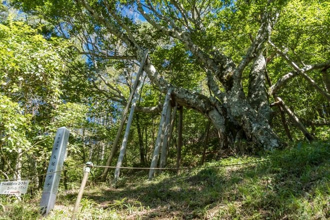 徒歩10分でアルプスの絶景！「まるでパッチワーク」長野「陣馬形山」の秋の景色とは？の画像013