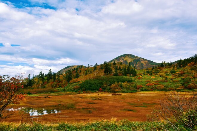 カラフルな「紅葉登山」旅！「 写活ハイク」で火打山の魅力を満喫【2021年・秋】山歩きインスタグラマーhykemika-yの画像003