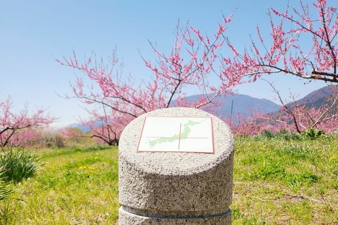 春色の濃淡を楽しむ「桜と桃」お花見スポット2選！  1日でどちらも訪問OK！  4月上旬、山梨ならではの ”特別な10日間” 体験レポート【笛吹市＆韮崎市】の画像003