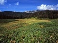 北アルプスど真ん中の秘湯・日本一遠い温泉「高天原温泉」へ入浴登山！ 「花の見ごろ過ぎ＆秋紅葉まえ」のオフシーズン？  まさかの「独泉レポ」の画像007