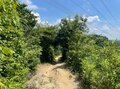 ＜残暑にオススメな“低山の早朝ハイキング”コースPart2＞“涼めるポイント”も豊富な「サクっとモーニングトレイル」私市（きさいち）編【里山アドベンチャー！ソトアソ日和 vol.6】の画像016