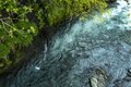 【渓流釣り】雪代トラウトを求めて県境を彷徨うフライフィッシング！ 日本一の川の支流「釣れたのに悲しい」渓流魚の正体とは 《長野県・新潟県 》2023年の画像005