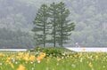 “まるっと楽しむ 尾瀬の山歩き” vol.1【福島県 檜枝岐村】 江戸時代から続く “歌舞伎の村”！  入山口からたった40分で花の宝庫「大江湿原」への画像004