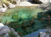 東京から四国へ移住したライターが明かす「地方での田舎暮らし・意外なおカネ事情」【実体験リポート】