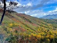 生態系の一部としての登山道は作れるか？  自然から学ぶ「新しい道」の作り方【100年先までつなぐ、大雪山の自然と登山道 vol.2】