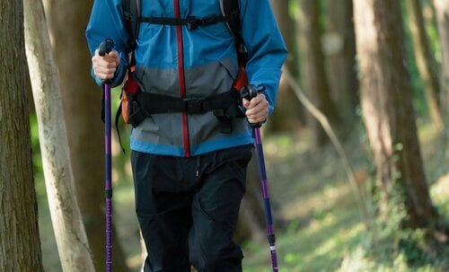トレッキングポール