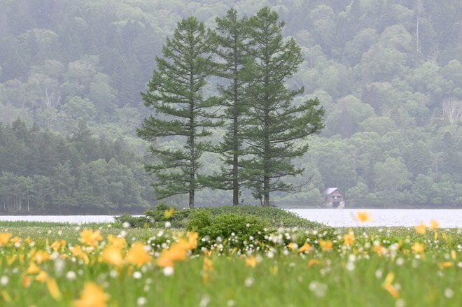 “まるっと楽しむ 尾瀬の山歩き” vol.1【福島県 檜枝岐村】 江戸時代から続く “歌舞伎の村”！  入山口からたった40分で花の宝庫「大江湿原」への画像004