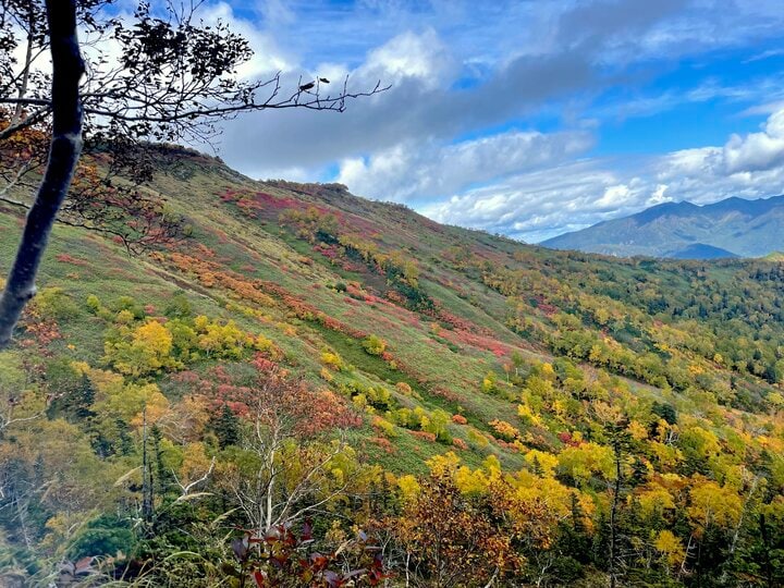 生態系の一部としての登山道は作れるか？  自然から学ぶ「新しい道」の作り方【100年先までつなぐ、大雪山の自然と登山道 vol.2】 