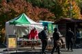 【3年連続】「全国No.1の紅葉スポット」鮮やかに染まる“もみじ湖”と“もみじのトンネル”《長野県・箕輪町》2022年の画像016