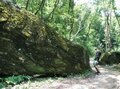 ＜残暑にオススメな“低山の早朝ハイキング”コースPart2＞“涼めるポイント”も豊富な「サクっとモーニングトレイル」私市（きさいち）編【里山アドベンチャー！ソトアソ日和 vol.6】の画像004
