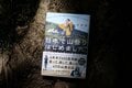 ＜6月は雨でも楽しめる山に登ろう＞ 外国人YouTuberが見た「雨の尾瀬」の魅力【日本で山登りはじめました vol.1】の画像001