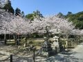 「日本三景・安芸の宮島」の巨石群と「瀬戸内海の絶景」が見渡せる弥山！  2時間半以内で登れる「全3コース」の魅力とは？の画像002